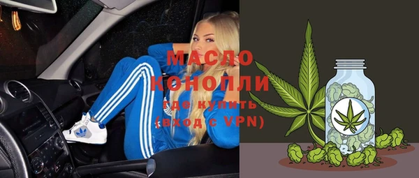 ешки Дмитриев