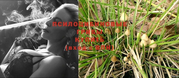 винт Дмитров