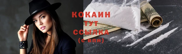 винт Дмитров
