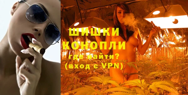 винт Дмитров